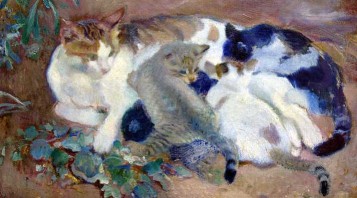 Nove volte gatto, laboratorio per bambini a Palazzo Te