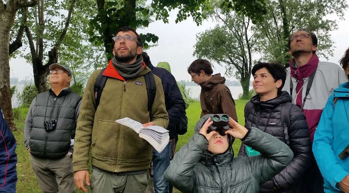 Parco del Mincio, birdwatching sul Lago Superiore di Mantova