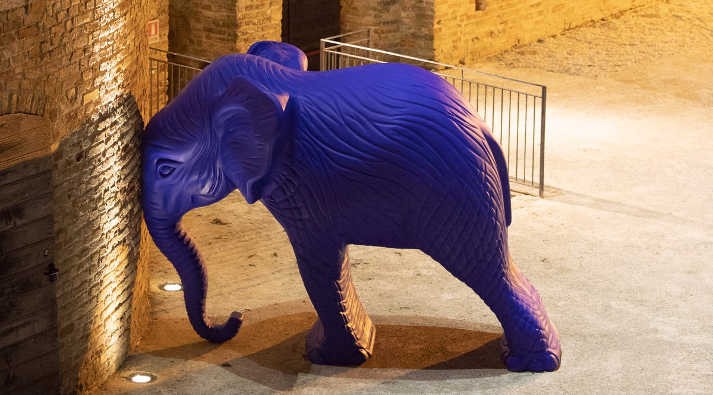 SEGNI 2018, Mantova si prepara al festival con l