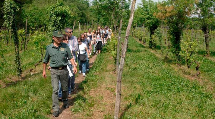 Escursioni guidate con le GEV a Castellaro Lagusello